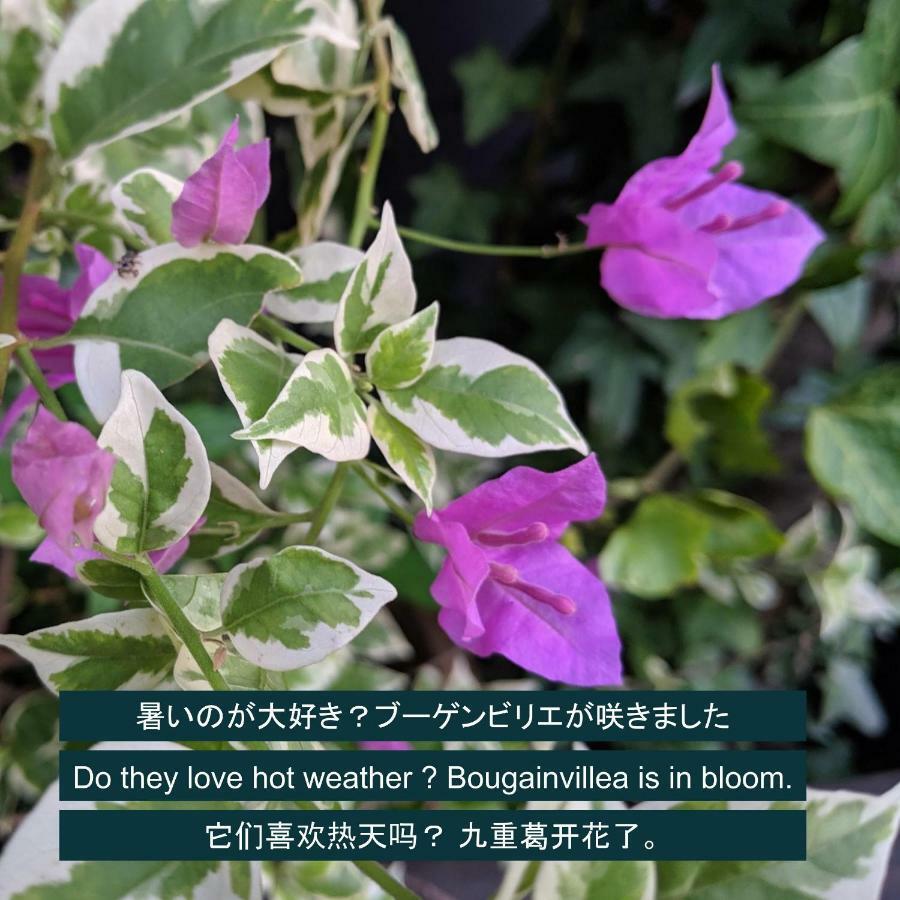 Kyoya Ryokan Nagoja Kültér fotó